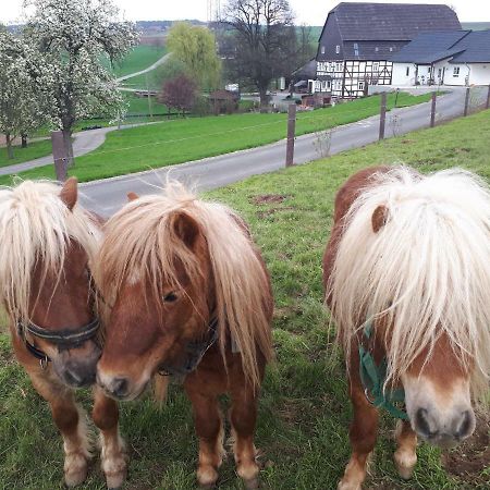 Ferienhof Papiermuehle Hofgeismar Eksteriør bilde