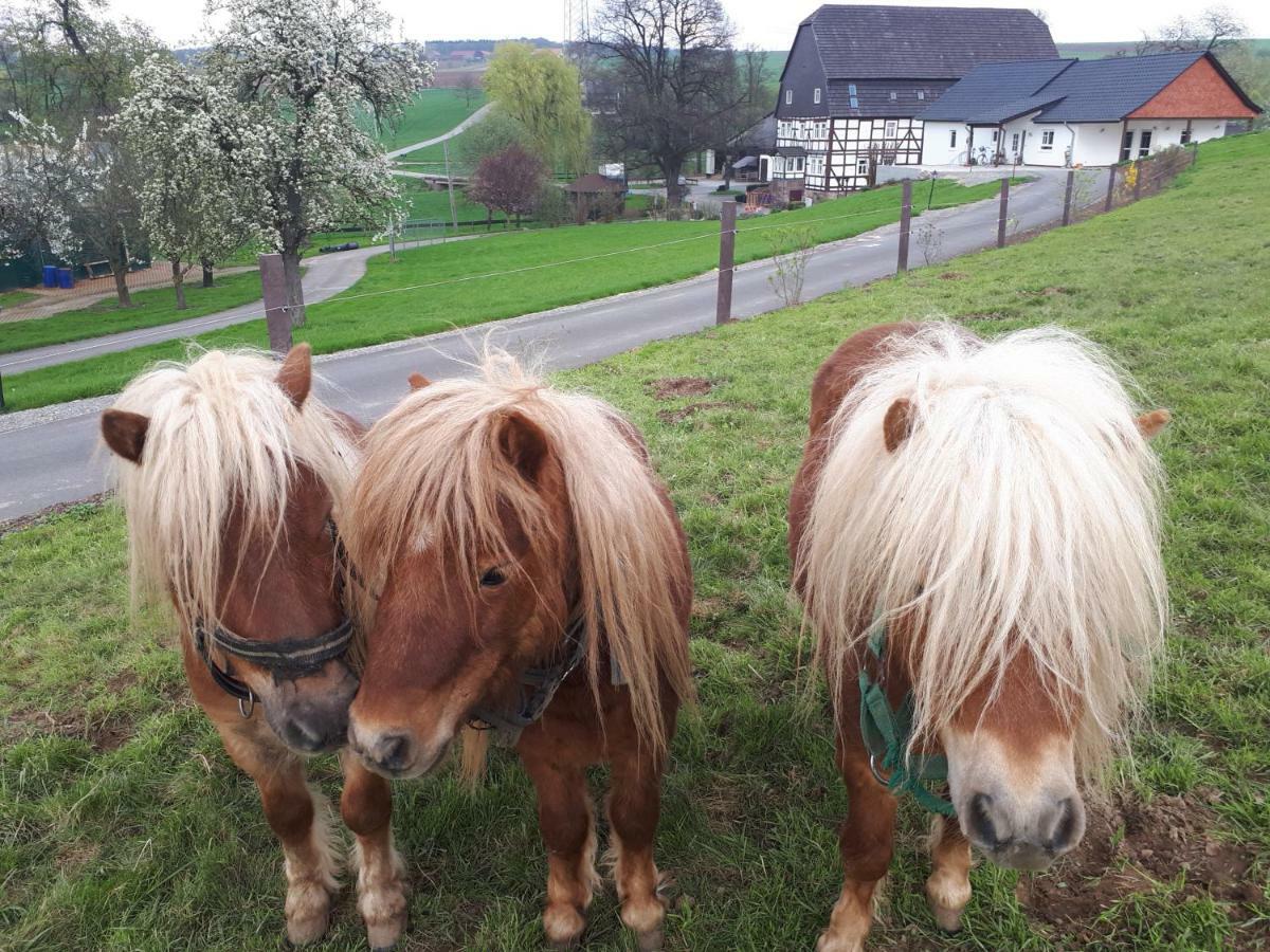 Ferienhof Papiermuehle Hofgeismar Eksteriør bilde